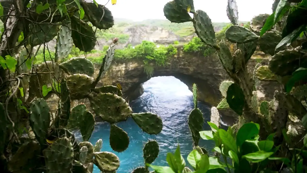 Handheld dolly through tropical vegetation reveals oceanic arch of broken beach Bali Indonesia