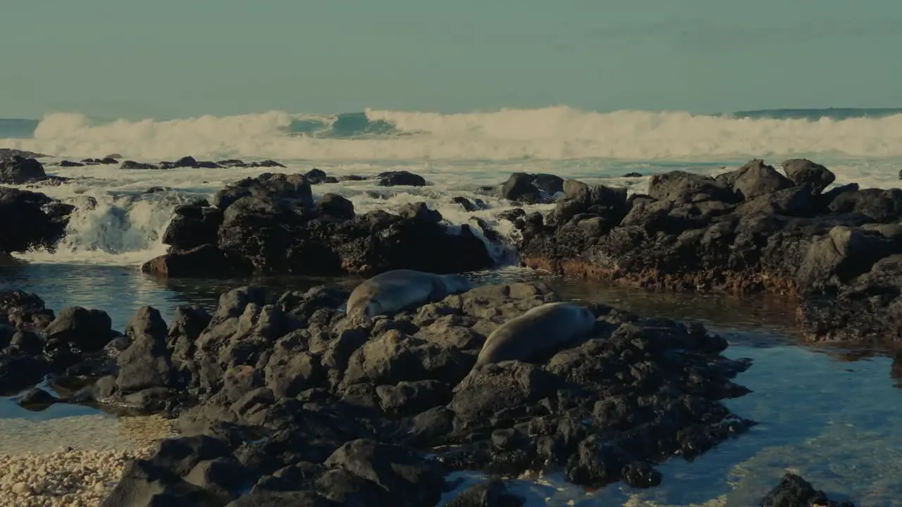 the crashing white water waves on the horizon come forcefully onto the boulder lined beach filling the tidepools as the tide rolls in