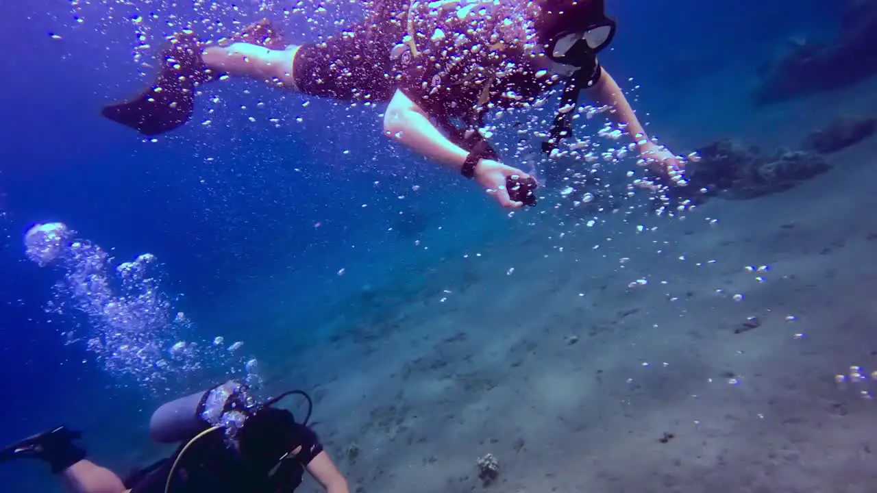 People scuba diving near the ocean floor and making air bubbles