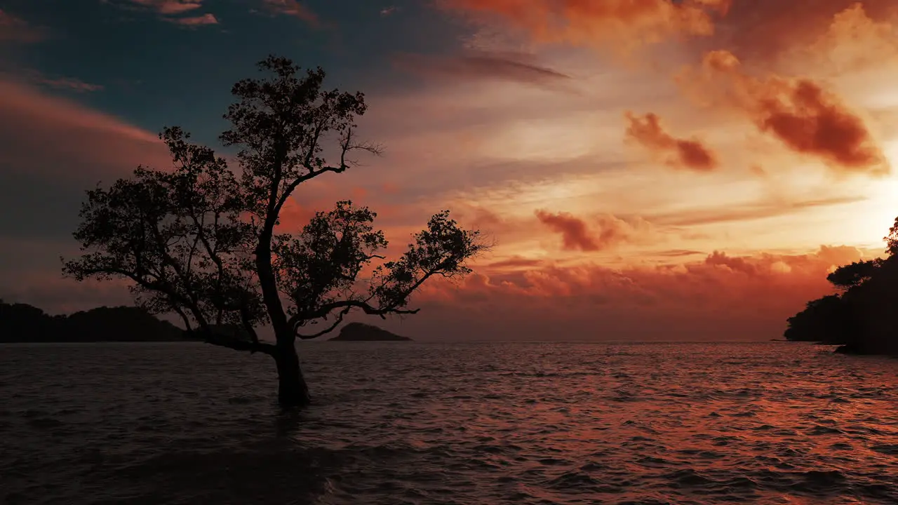 Ocean Waves surrounding lonely tree in Koh Chang Thailand while the sky is ablaze with the warm hues of a breathtaking sunset – a vivid canvas of yellow orange and red