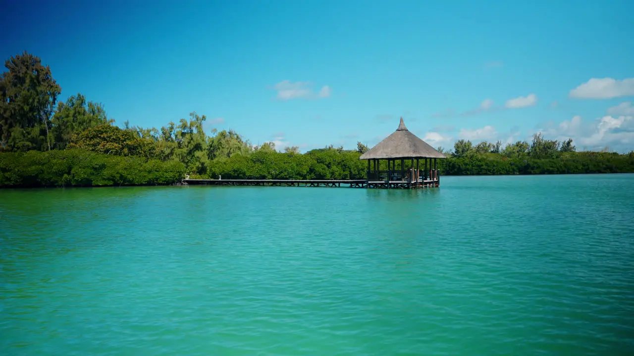 Seaside view of a wooden pier surrounded by green lush vegetation