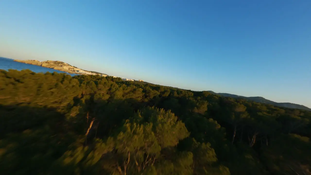 FPV drone flying over tree tops at the beach during golden hour sunset with amazing skies and beautiful ocean water