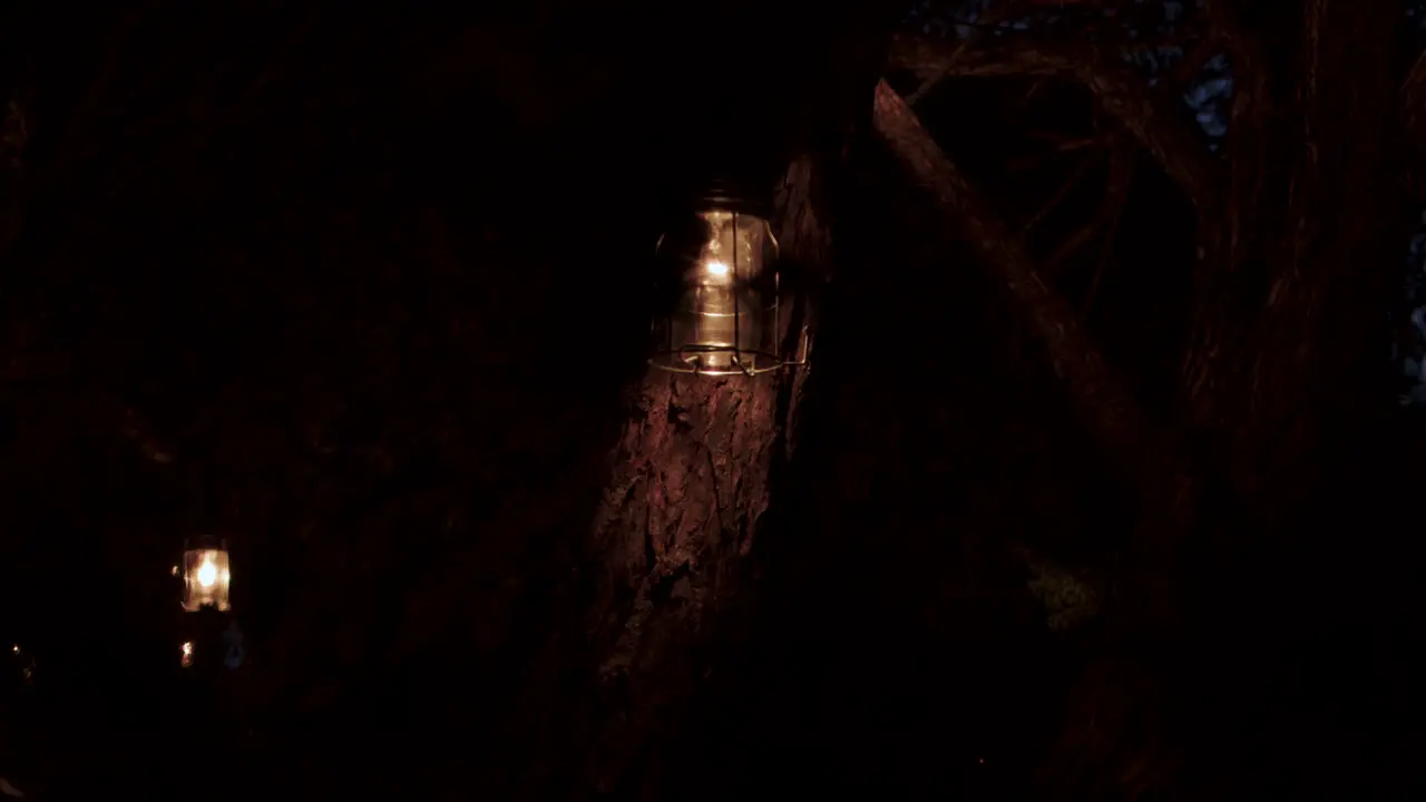 Slow rotation around a tree with lanterns