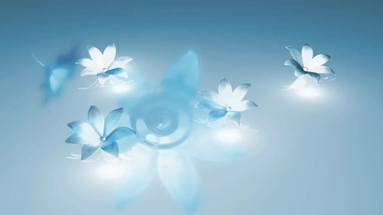 White and Blue Flowers