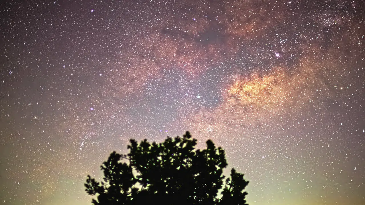 Timelapse of Night sky with Milky Way galaxy and shooting stars also a tree silhouette in foreground