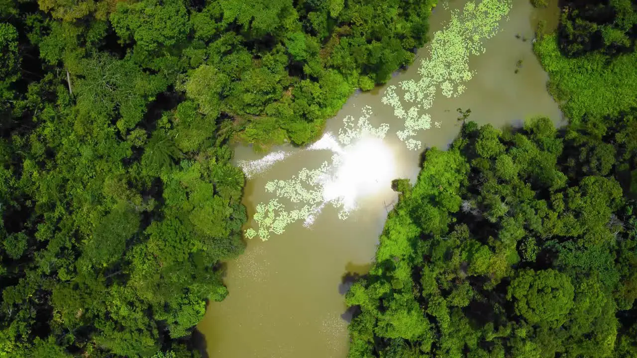 Amazing cinematic 4K residential drone footage after deforestation issue consists of many homes road trees lake and infrastructure in the middle of tropical forest located in Riau Indonesia