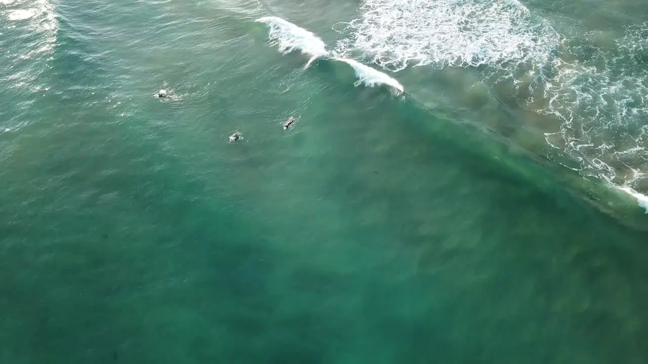 Drone aerial on the Great Ocean Road beach with surfers on blue water on a sunny summer day