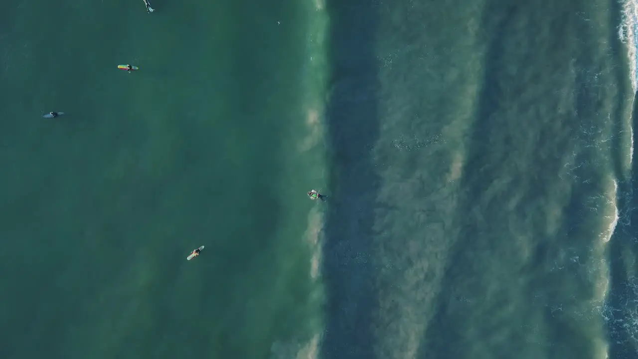 4k aerial top down shot of many surfers in blue water with small waves