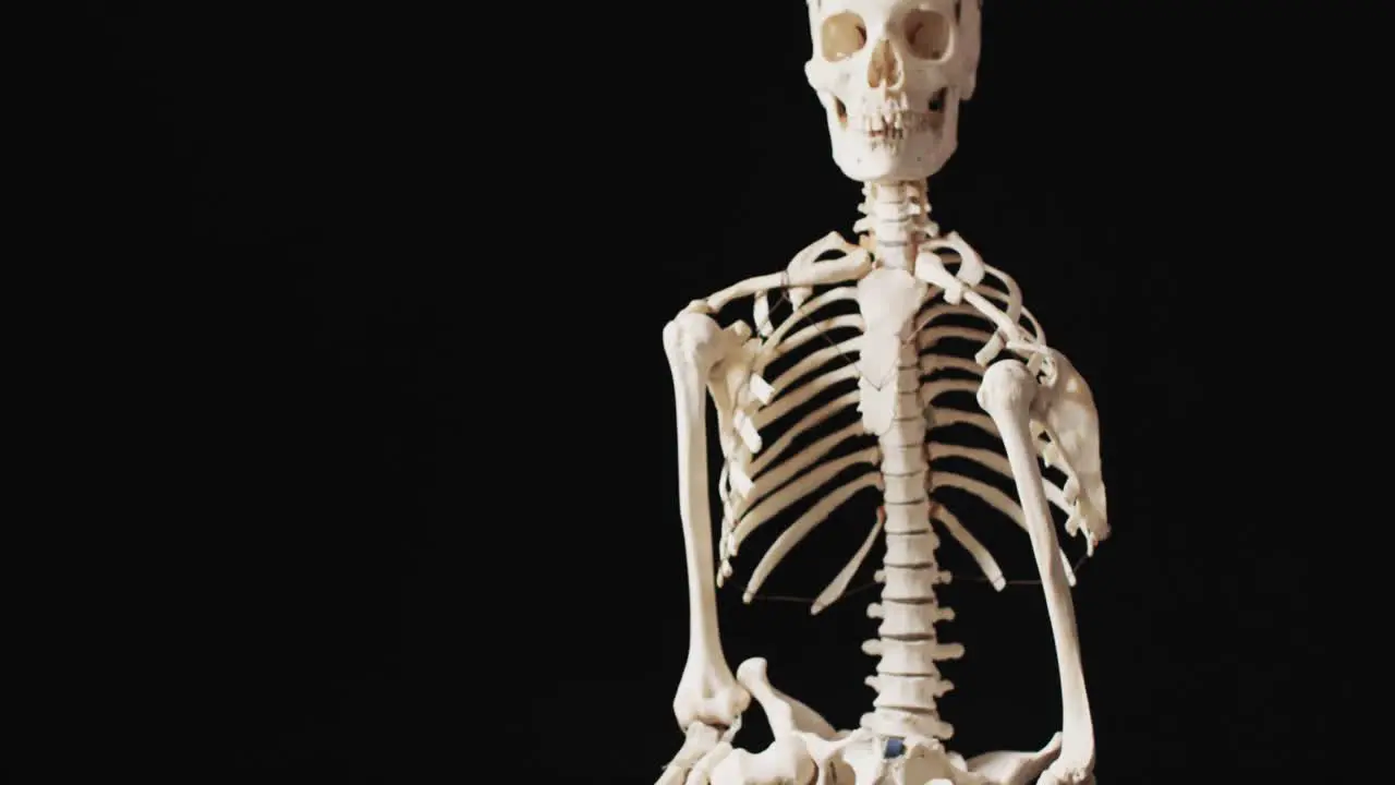 Video of halloween skeleton and copy space on black background