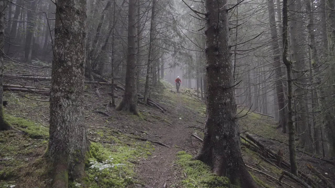 Mountain biker riding in a foggy forest under the rain