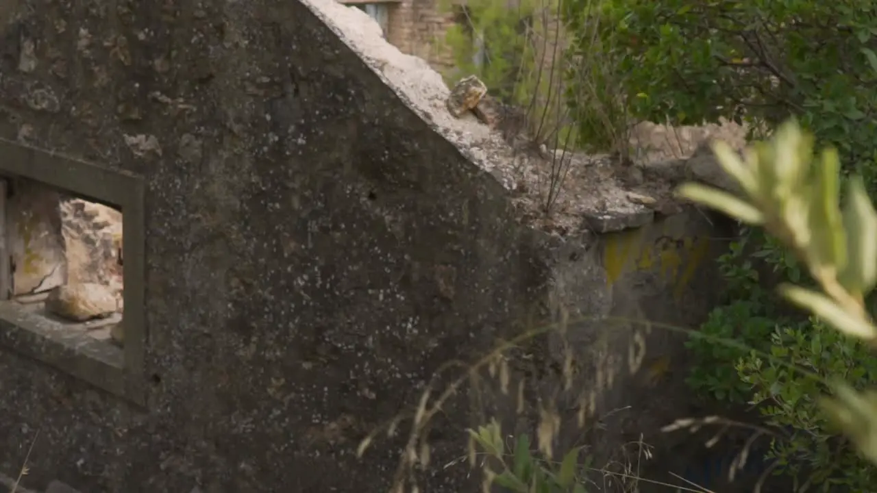 Footage of abandoned and demolished house located at Vasilika Parnitha mountain Athens Greece