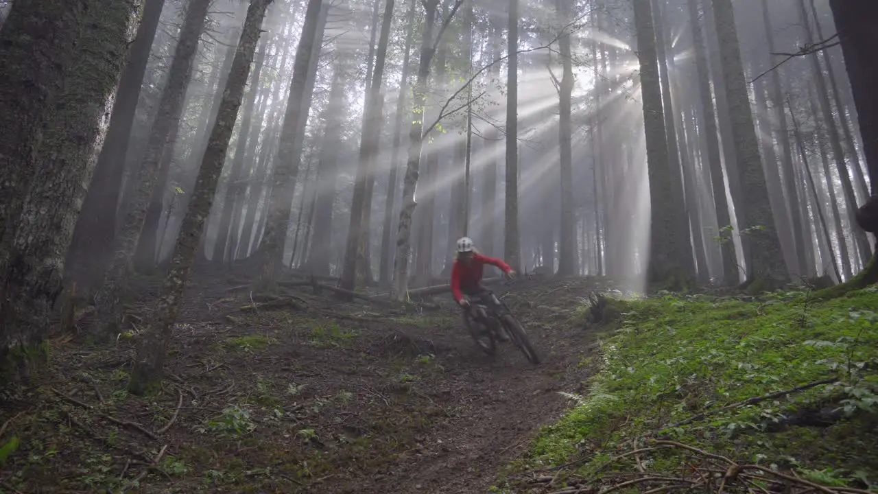 Mountain biker riding in a foggy forest