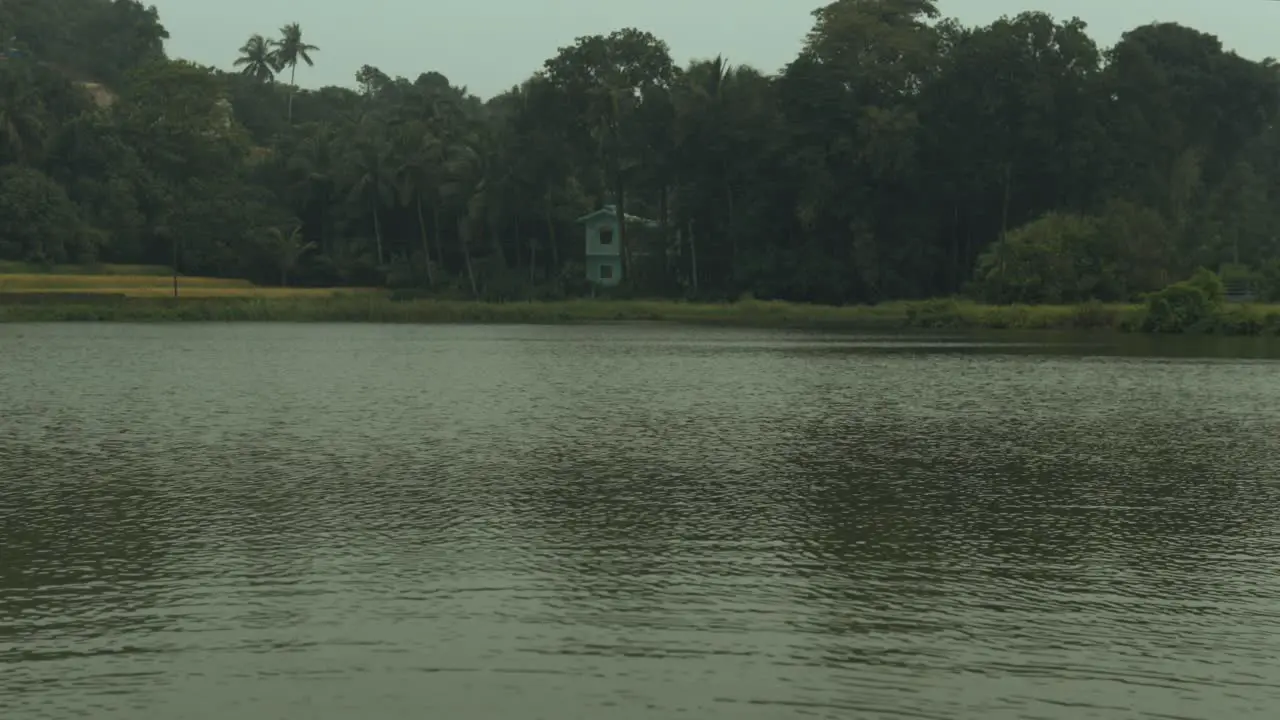 Old creepy wooden house hidden in palm tree jungle on shore of lake