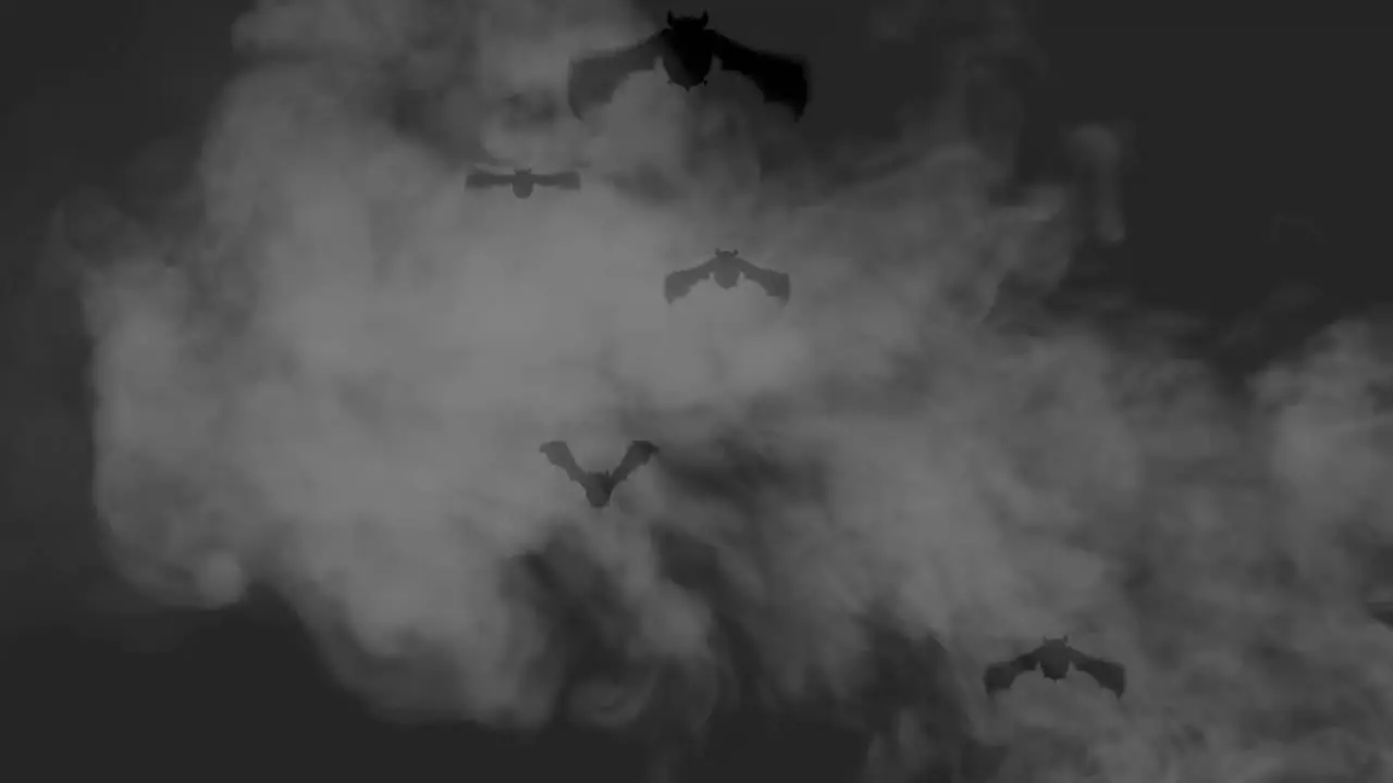 Bats at night with smoke