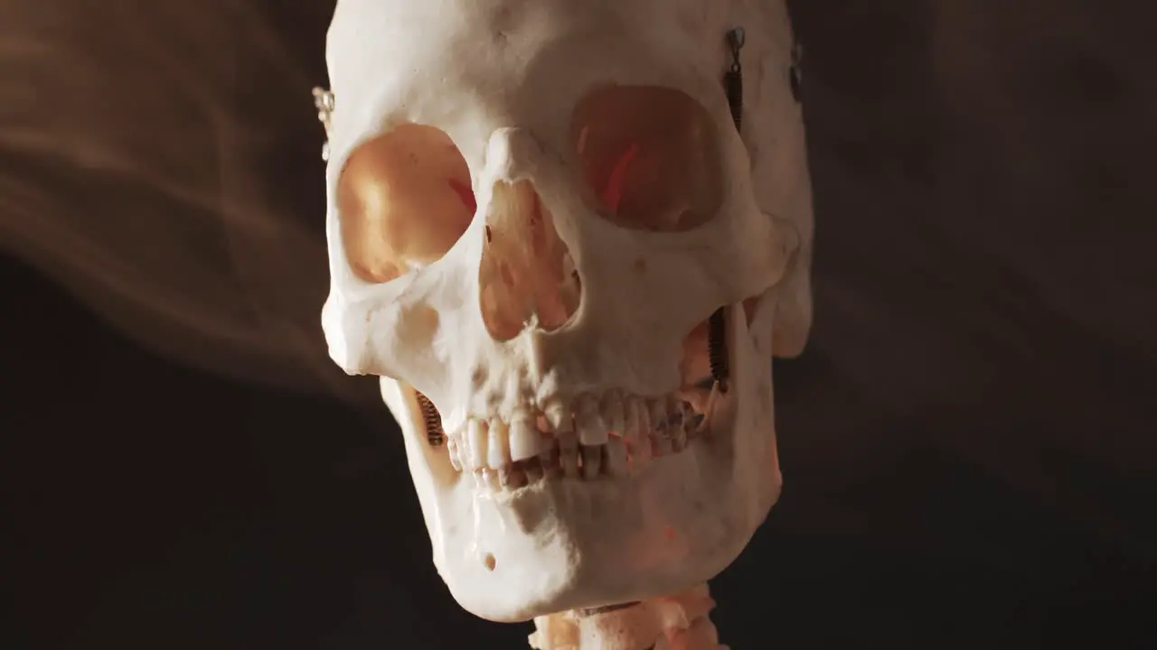 Video of close up of halloween skull and skeleton and copy space on black background