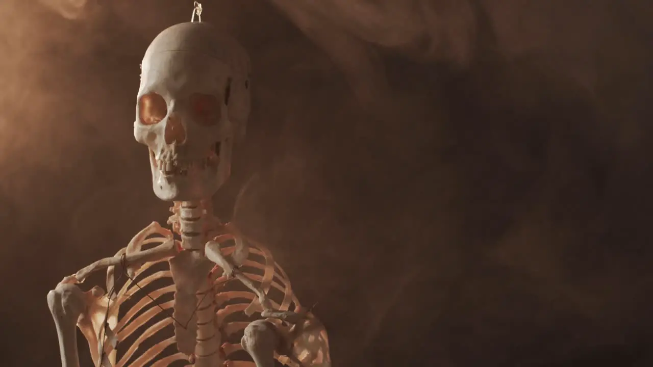 Video of close up of halloween skull and skeleton and copy space on brown background