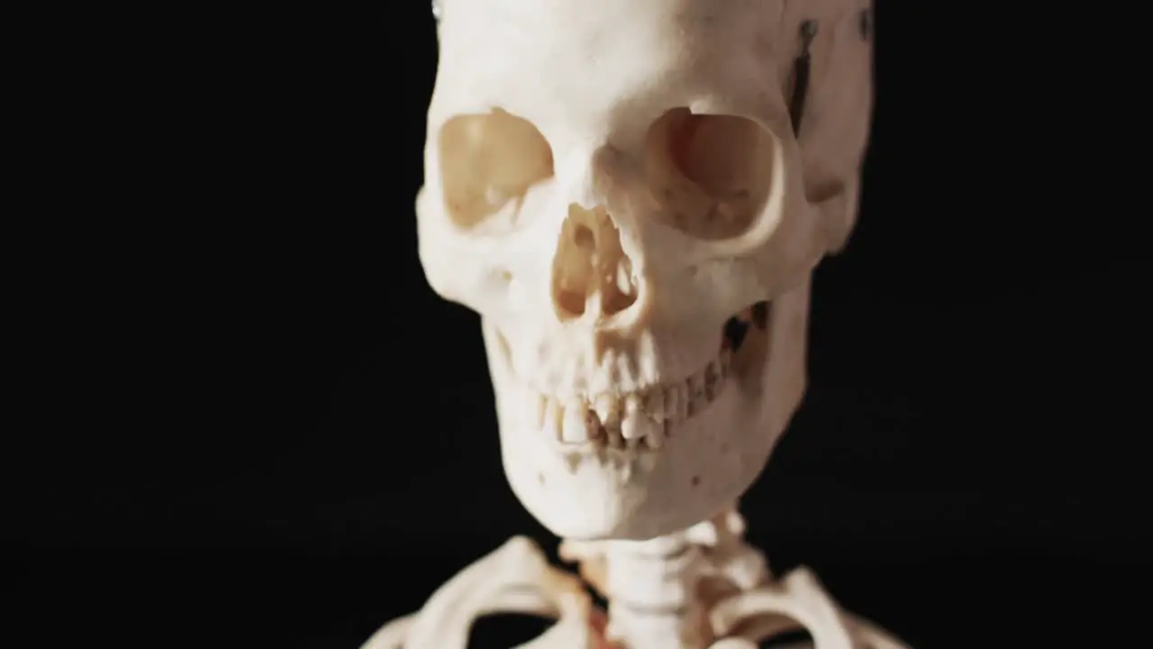 Video of close up of halloween skeleton and copy space on black background