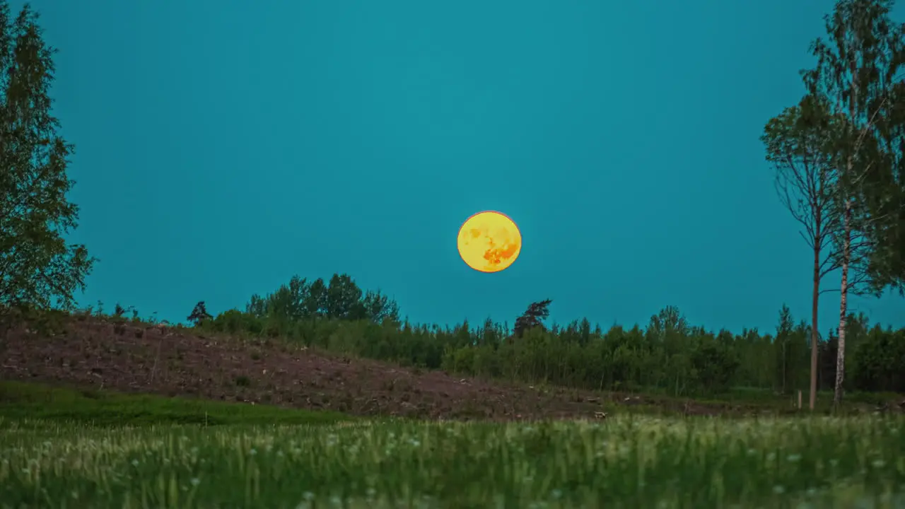 Cinematic footage of the moon setting over a grassy and earthy hill with trees and bushes in the foreground