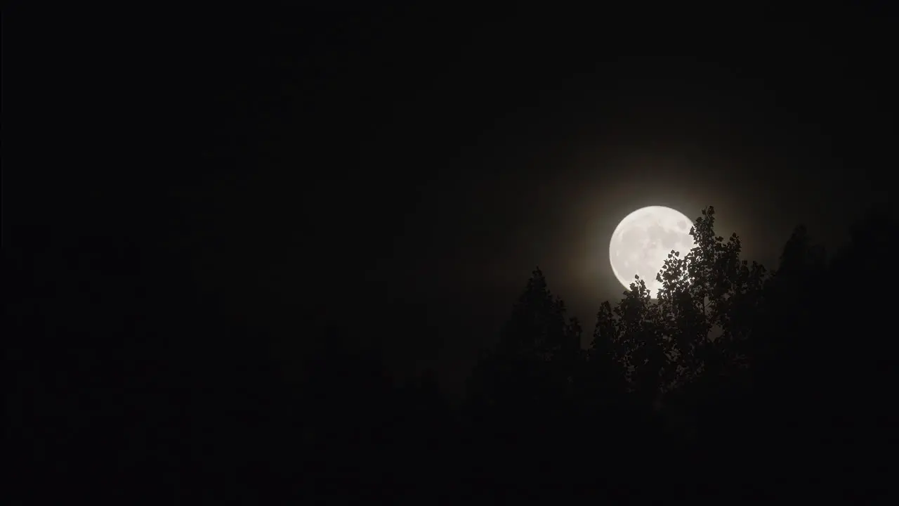 Full Moon Rise Behind Tree Forest Over Evening Sky