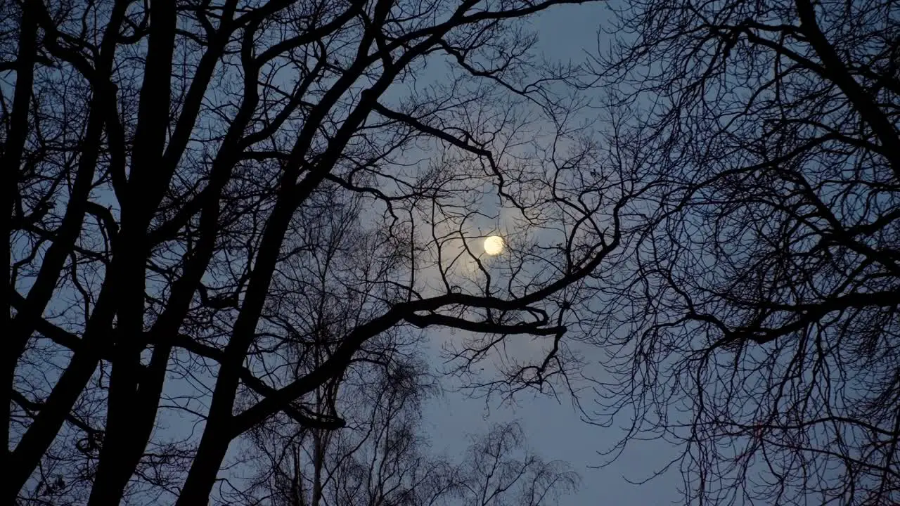 The full moon shines through drifting clouds and black bare tree branches