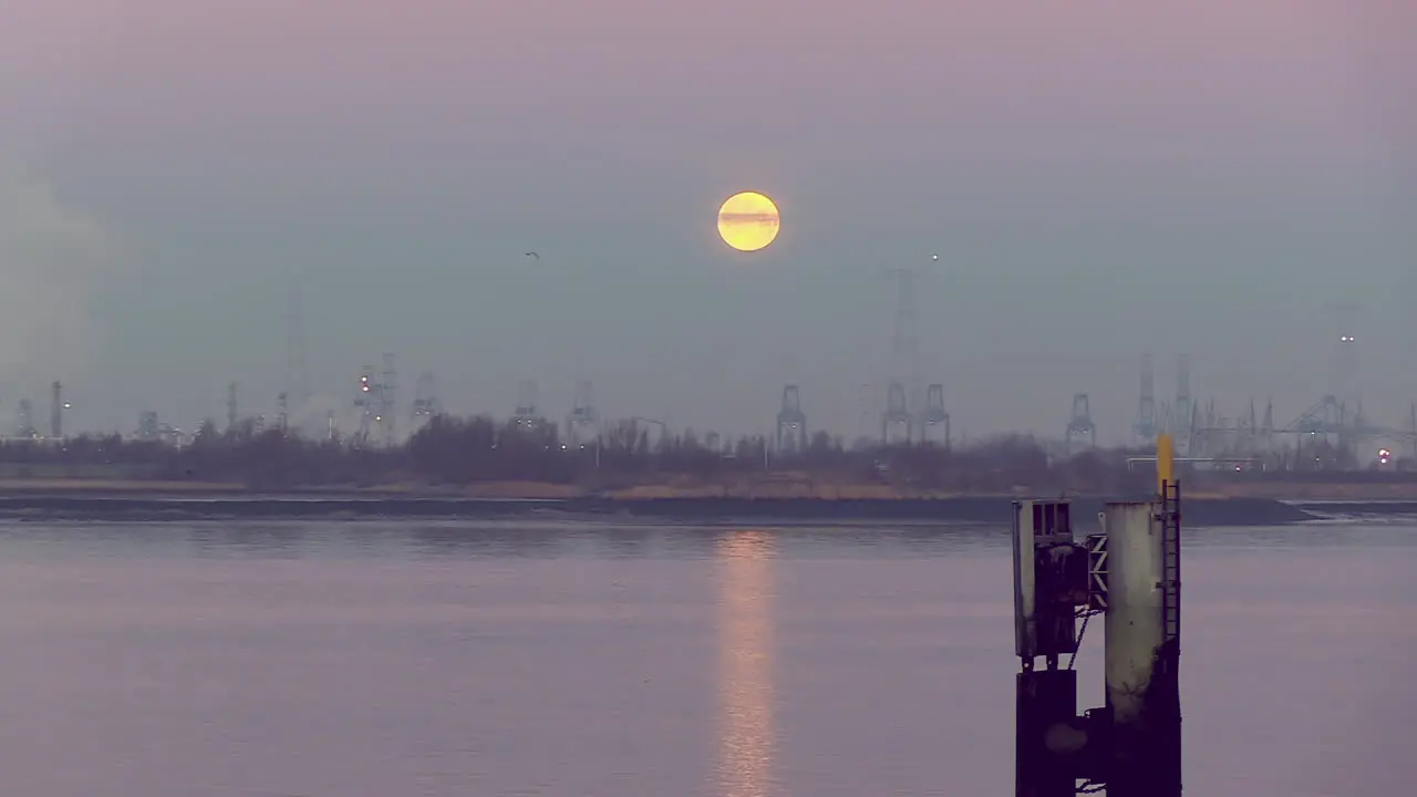 awesome view of the blood moon lunar eclipse of January 2019 at dawn over the Scheldt River Antwerp