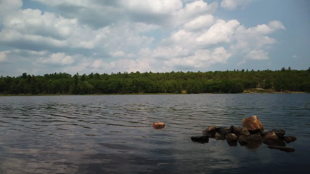 A daytime motion time lapse of the Moon River and surrounding Conservation Area