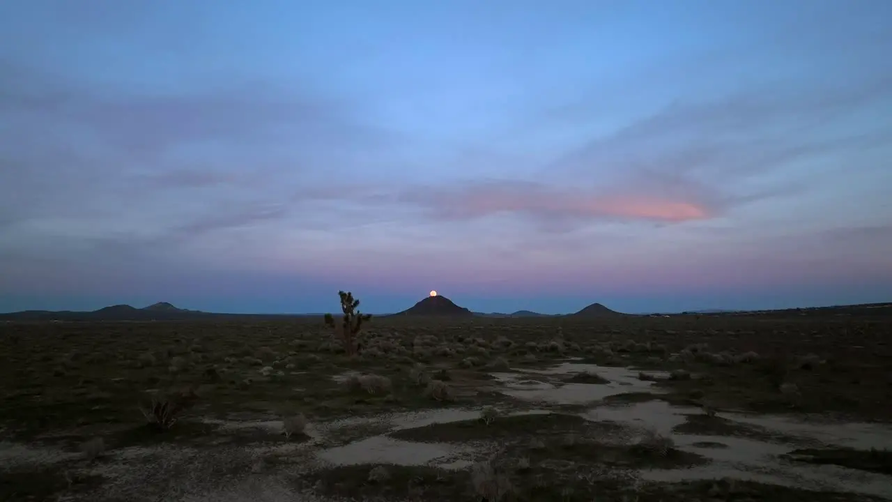 Mojave Desert at twilight with the moon just above a distant butte Joshua tree in the foreground low altitude aerial