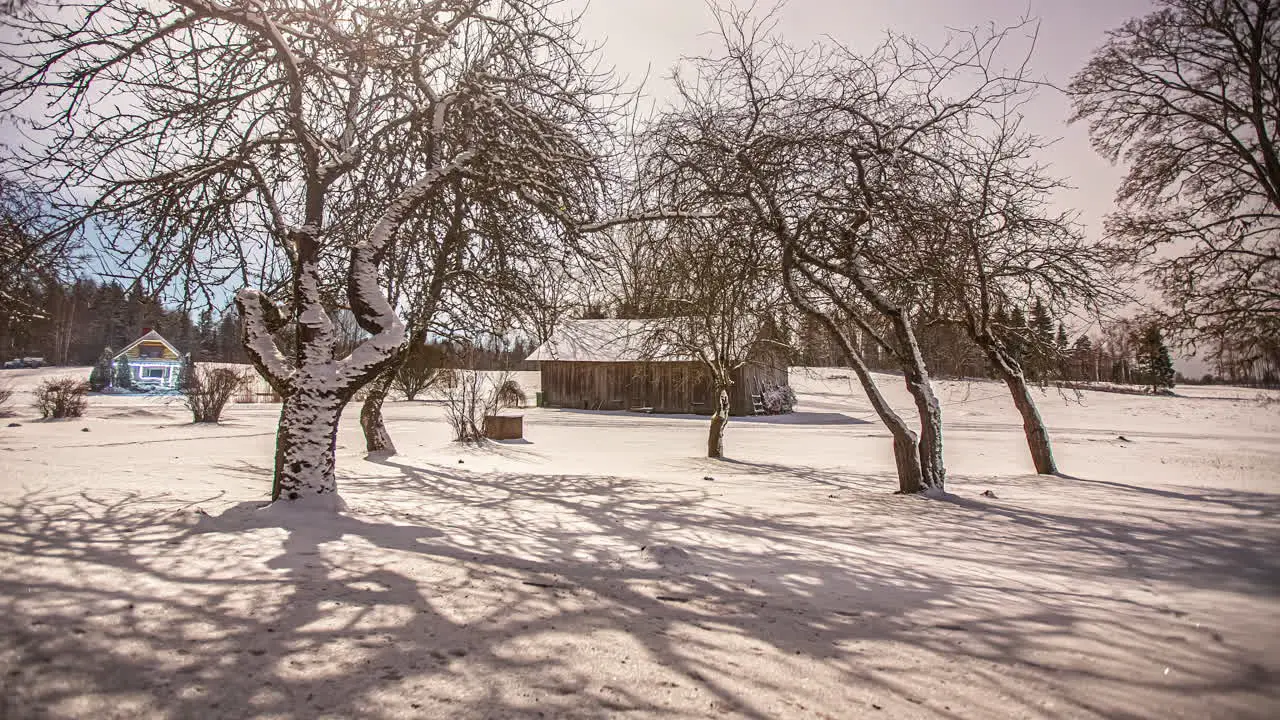 Moon and stars so bright that it casts shadows from the trees across the snow until thick fog blows in time lapse