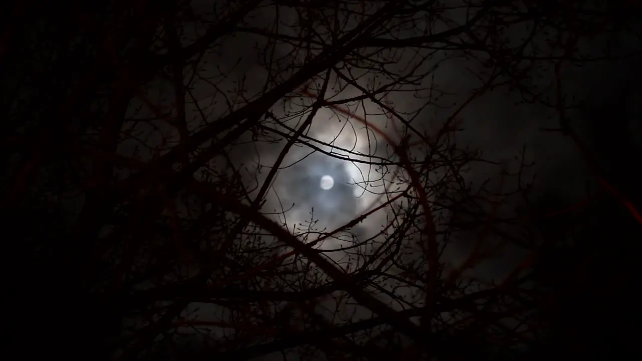 Spooky full moon visible through the branches of a tree with clouds passing by Halloween concept