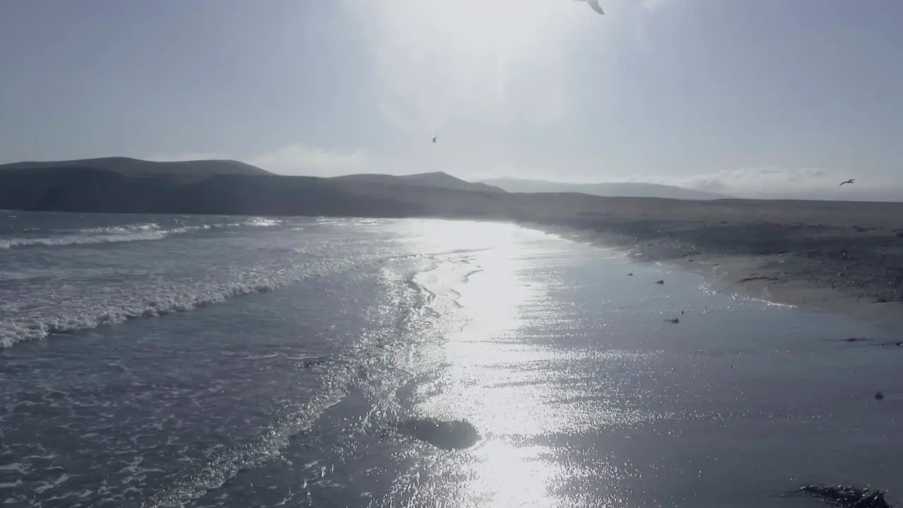 Beautiful zoom in drone shot flying along the shore of a lonely beach in the afternoon