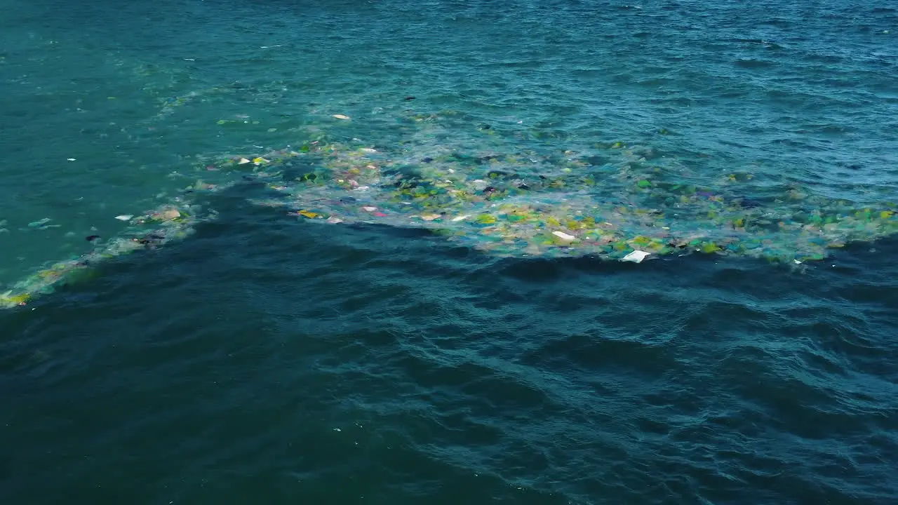 Coastal scene with garbage floating in sea