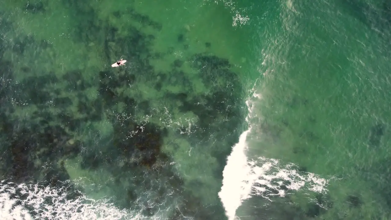 Drone birds-eye shot of longboard out surfing on Malibu at Central Coast beach Blue Bay Australia 3840x2160 4K