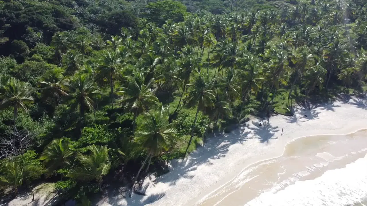 Itacare Brazil by Drone 4k Brazilian Atlantic Ocean from the sky-9