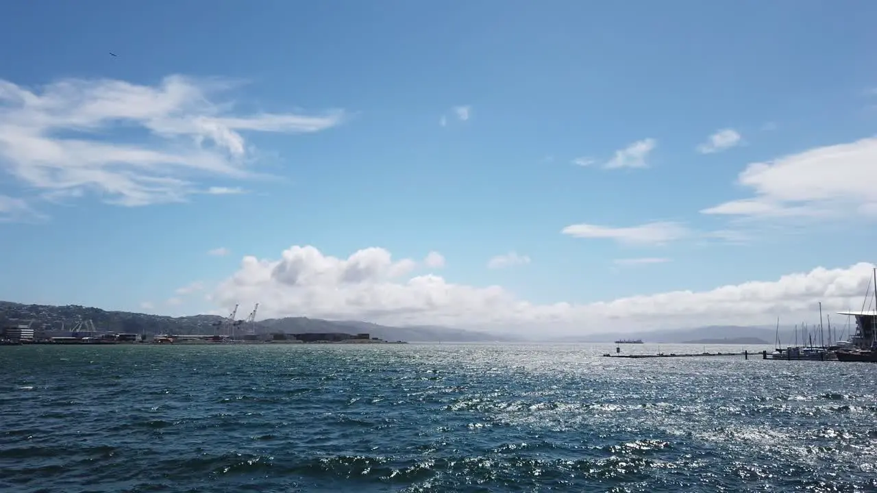 A sunny day in Wellington wharf