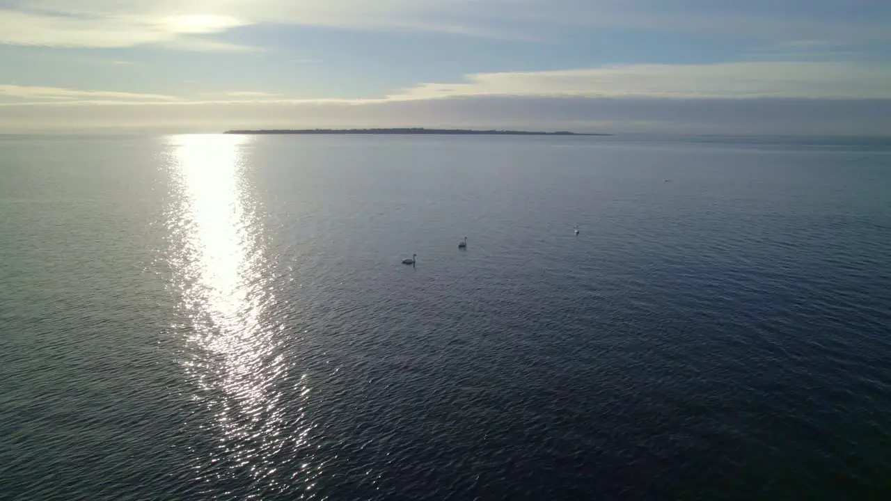 Flying above swans towards an island