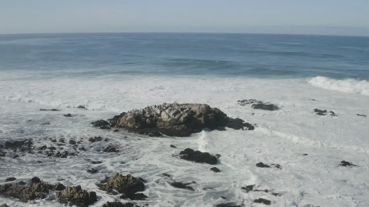 4K aerial over sea rocks with resting Cormorants and Seagulls in Monterey Bay California