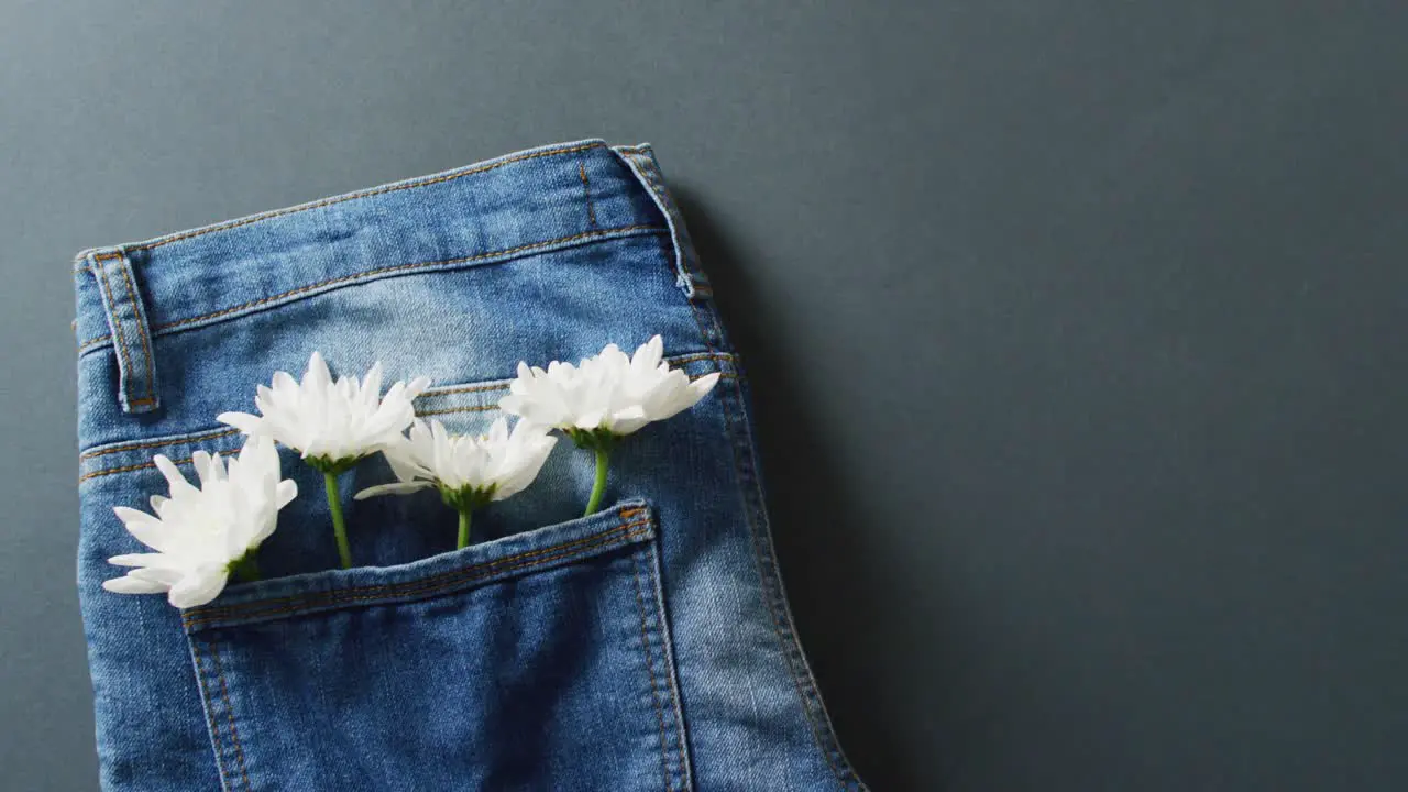 Close up of jeans with white flowers on grey background with copy space