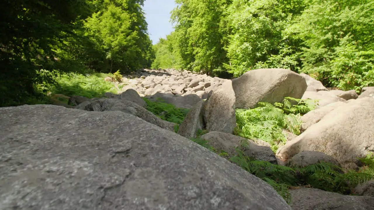 Felsenmeer in Odenwald Sea of rocks Wood Nature Tourism on a sunny day seady movement