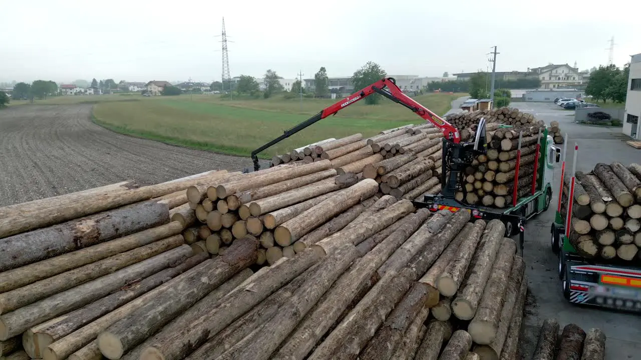 Machine Stocking Tree Trunks In Pile One Over Each Other