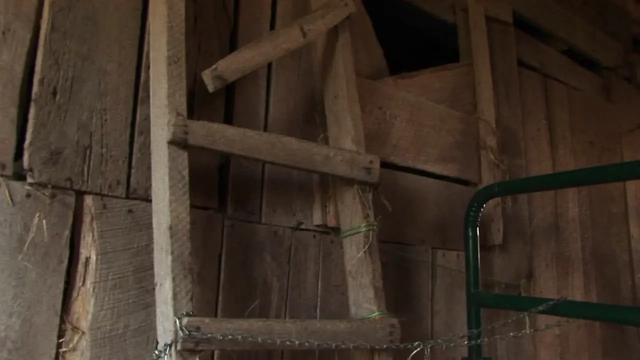 A Sliver Of Sunlight Pours In To Brighten The Crudely Built Interior Of An Old Wooden Barn Including A Broken Ladder Reaching Up To The Hayloft