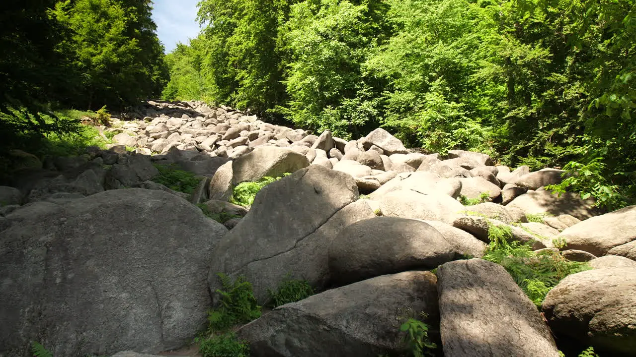 Felsenmeer in Odenwald Sea of rocks Wood Nature Tourism on a sunny day steady shot