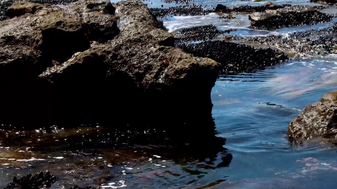 Tidal pools with ebbing tide in the Pacific Northwest