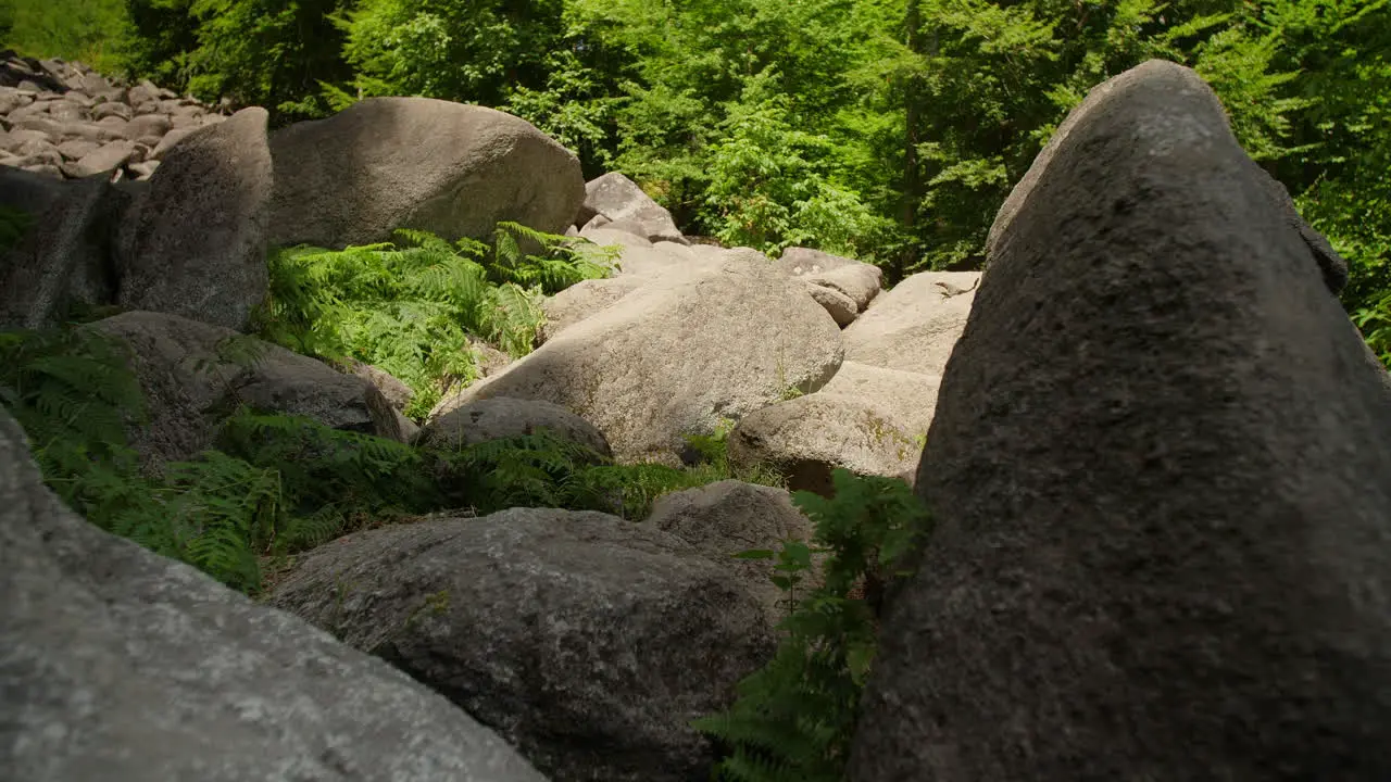 Felsenmeer in Odenwald Sea of rocks wood nature landscape tourism on a sunny day steady close up shot