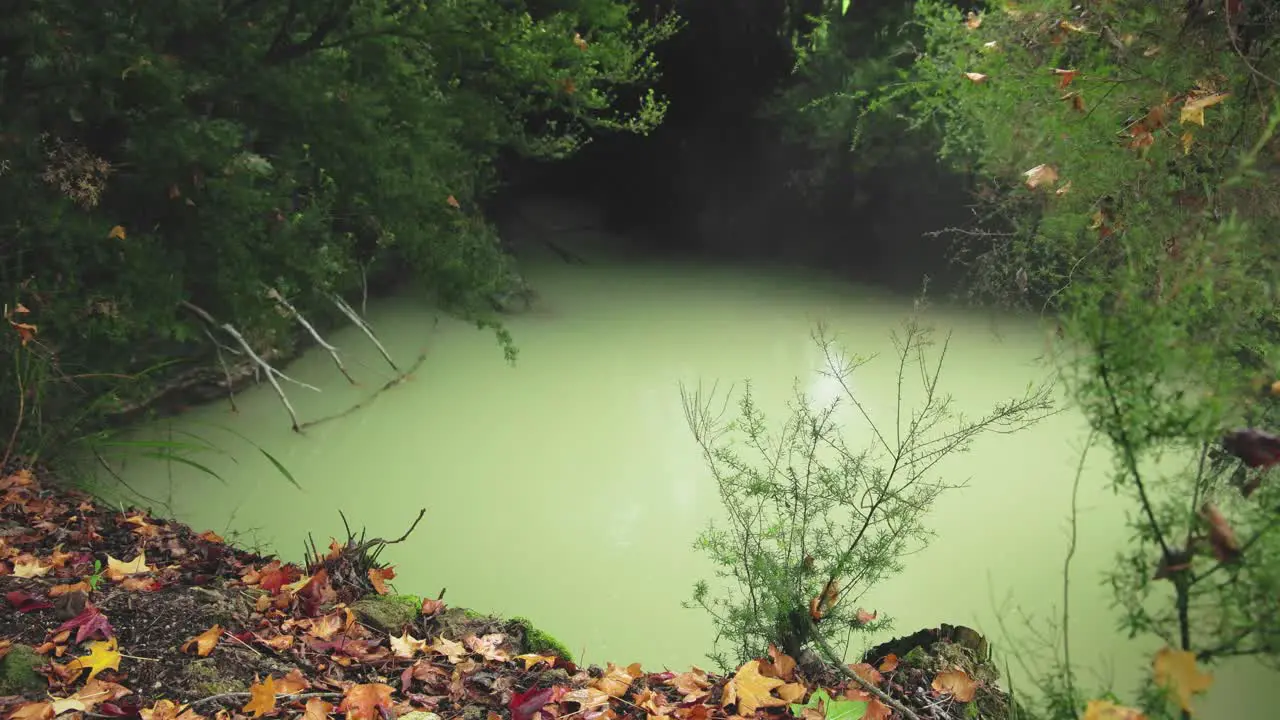 geological activity volcanic lanscape green hot pool