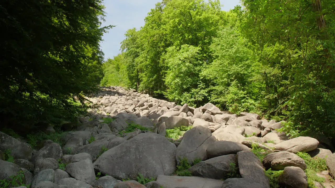 Felsenmeer in Odenwald sea of rocks wood nature landscape tourism on a sunny day steady pan wide shot