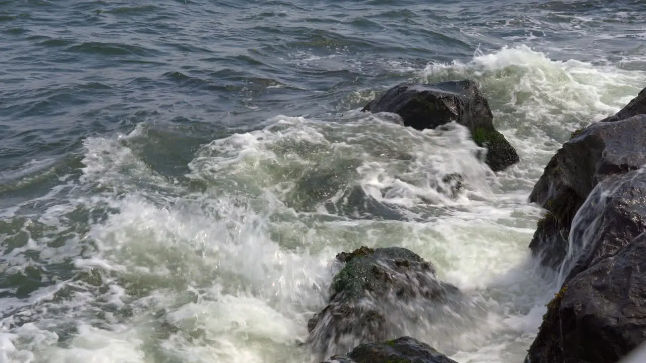 Ocean waves rolling over the seaweed covered rocks at the shore