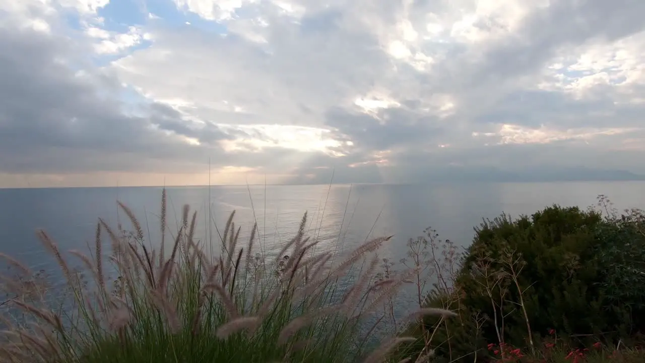 Turkish flora and fauna while the sun is setting over the mediterranean sea in Antalya