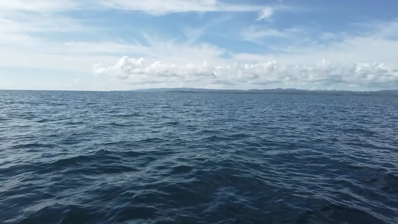 Bottlenose Dolphin jumping out of the water in the horizon