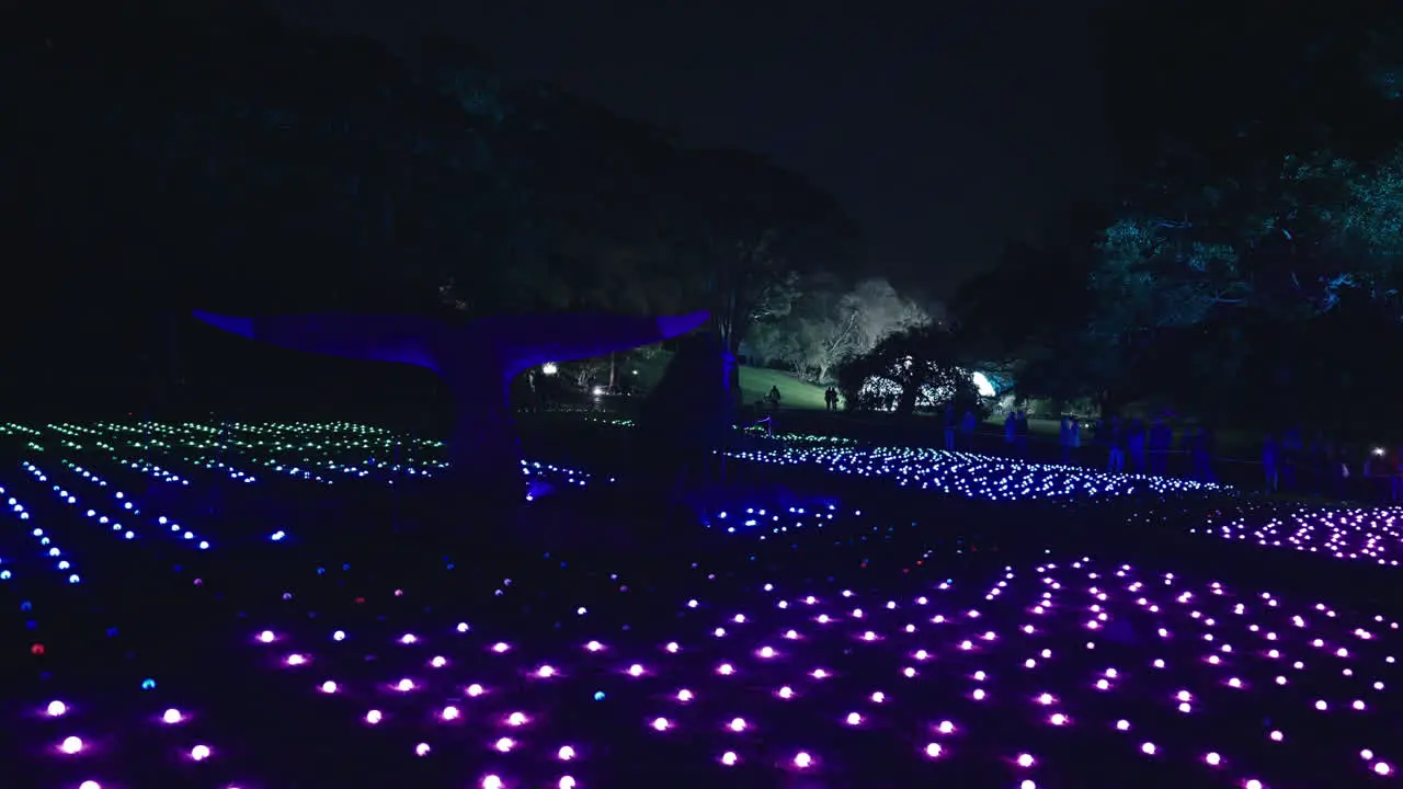 Hundreds of Bright Flashing Lights on the Ground of Sydney Botanic Gardens for Vivid in Slow Motion