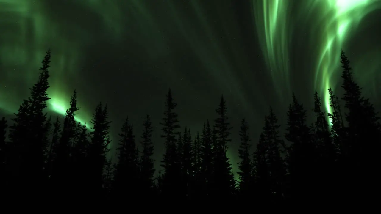 Aurora Borealis In The Night Sky With Stars low angle